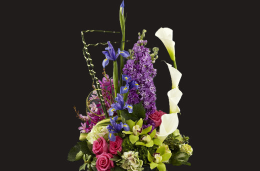 �1756769 �������(a): ����������:4184x2752